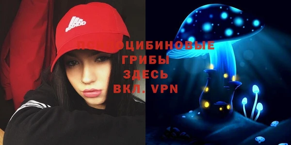 spice Беломорск