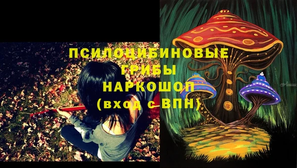 spice Беломорск