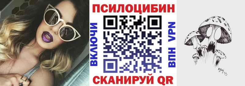 Псилоцибиновые грибы GOLDEN TEACHER  где можно купить наркотик  Берёзовка 